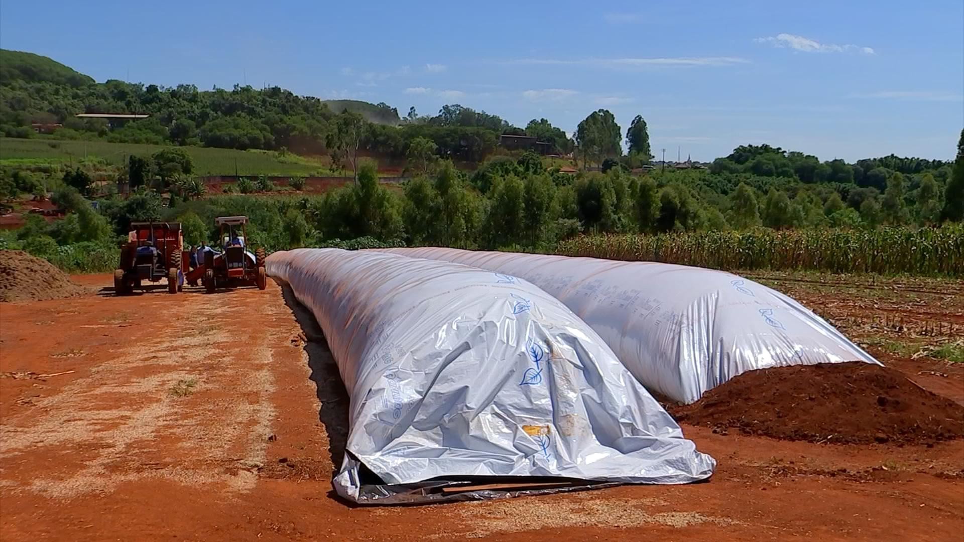 Pecuaristas produzem silagem que será fundamental no período de seca