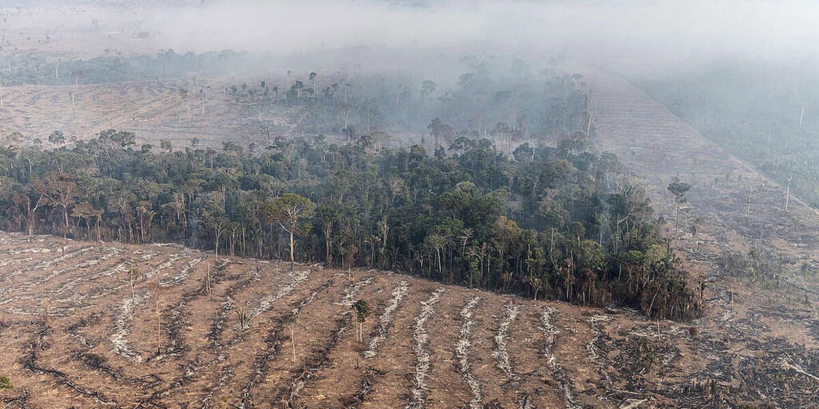 Fundo da Amazônia terá contribuição de R$ 91 milhões da Irlanda